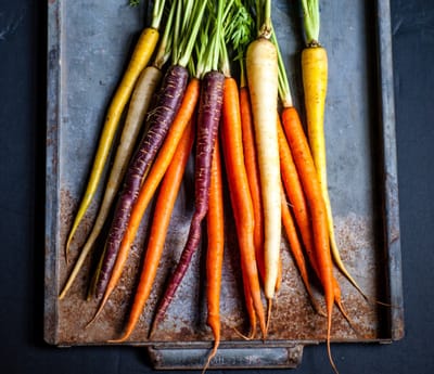 Wurzelsalz  "Die Kraft der Erde"