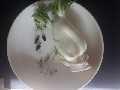 Fenchel mit Bärlauch Samen und Spitzwegerich Blütenknospen