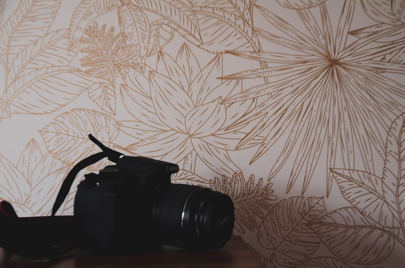 Un Air de Famille ...