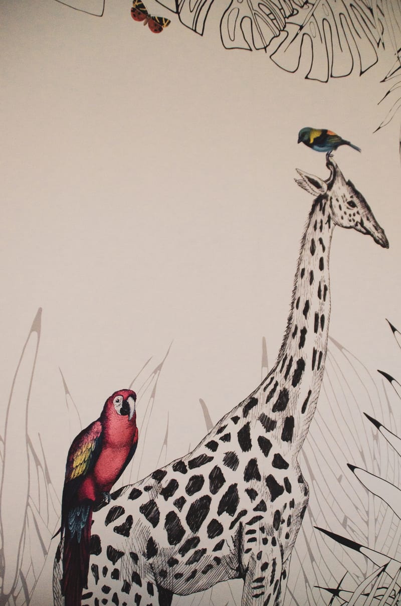 Un Souffle Ethnique ....