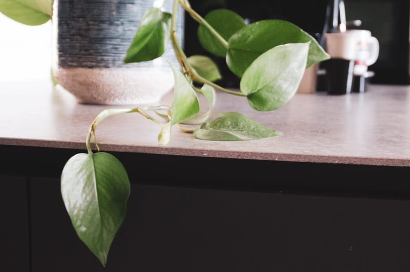 Par Ici la Cuisine ...