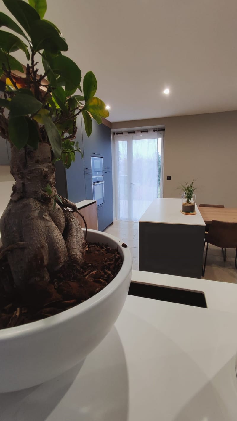 La Maison Bourgeoise...