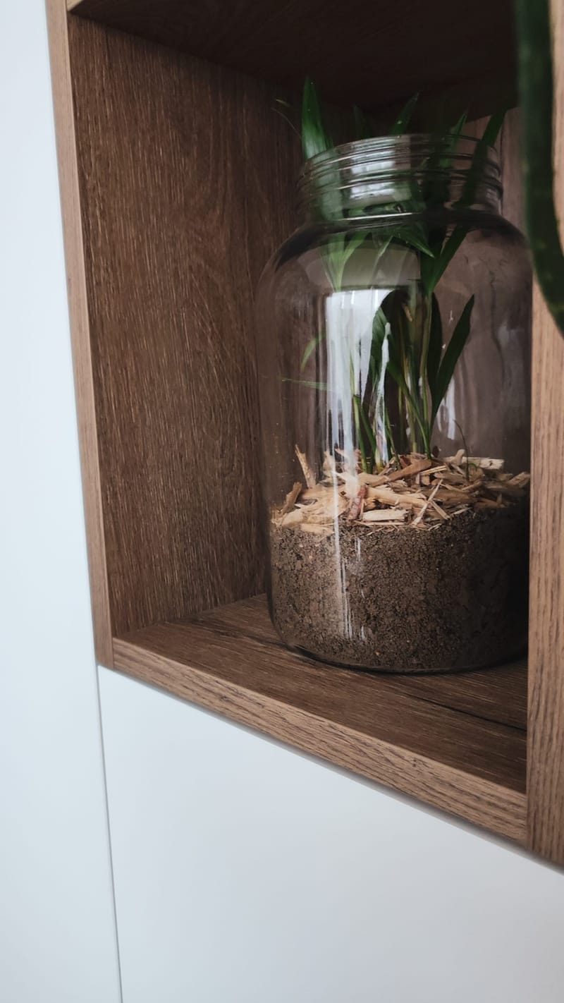 La Maison Bourgeoise...