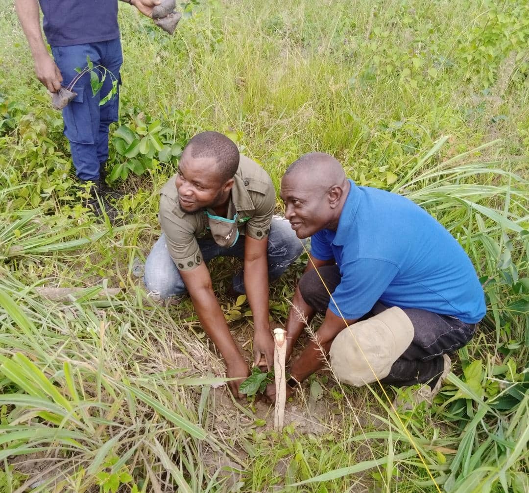 Green Ghana Project in Tain District