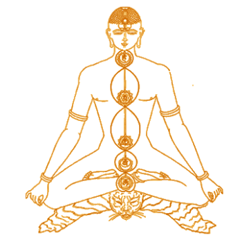 SUMMER THREE-BODY PURIFICATION