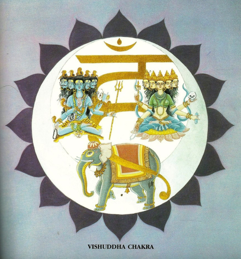 In Depth Microchakra™ Psychology of Vishuddha Chakra