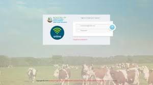 Department of Veterinary Services