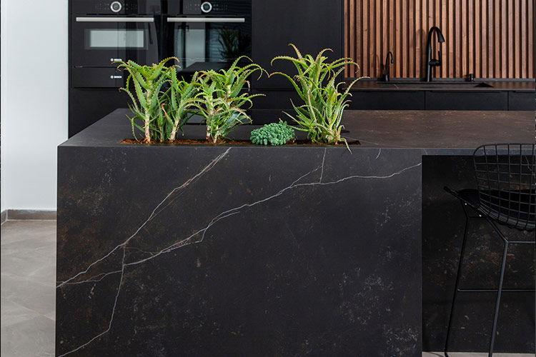 שירותים נלוים לשקט נפשי