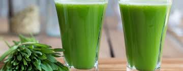THE THERAPEUTIC BENEFITS OF BARLEY GRASS