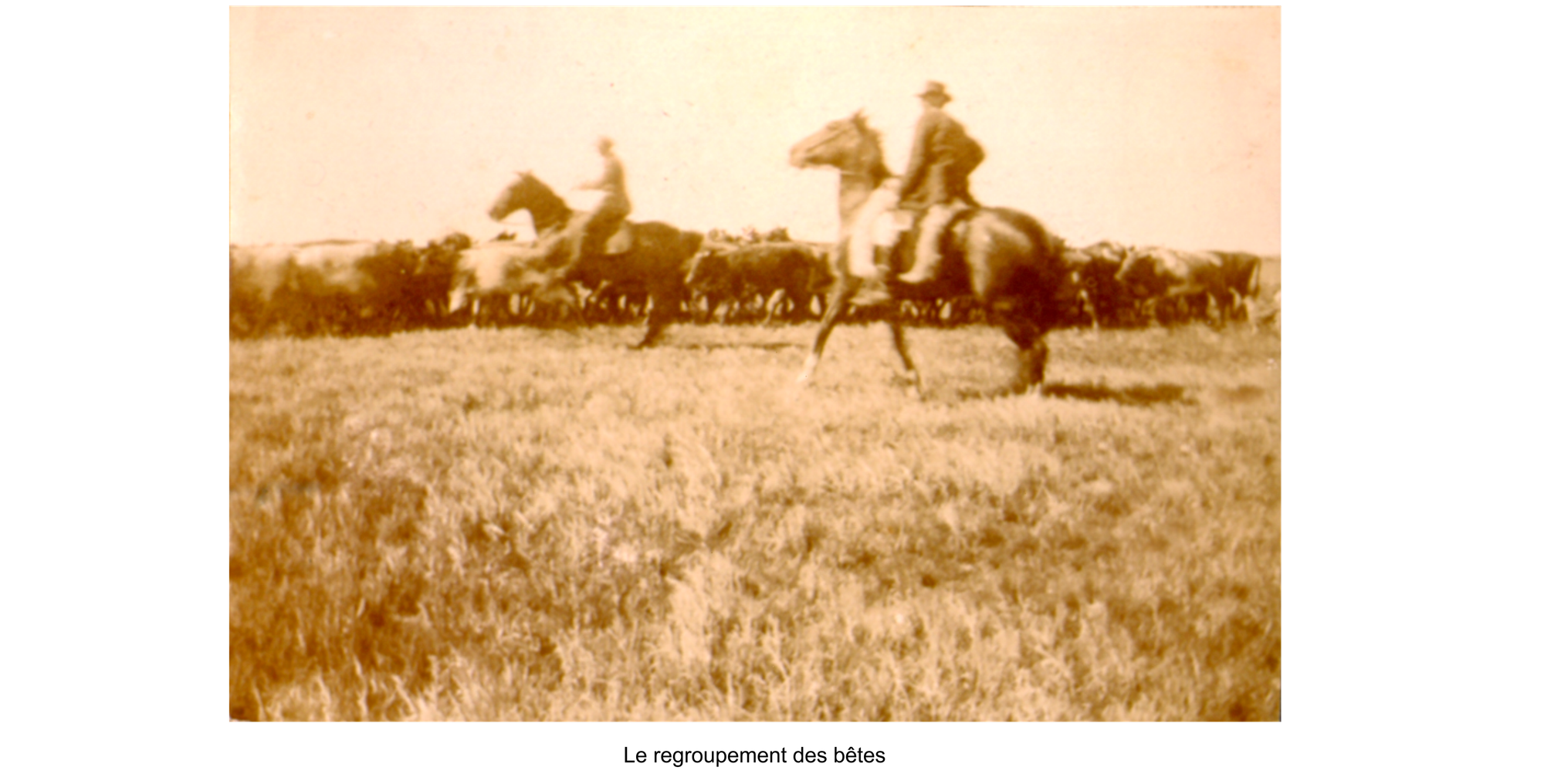 Dans la PAMPA fin XIXe début XXe Siècle.