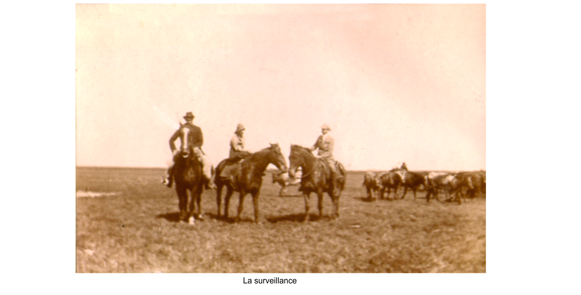 Dans la PAMPA fin XIXe début XXe Siècle.