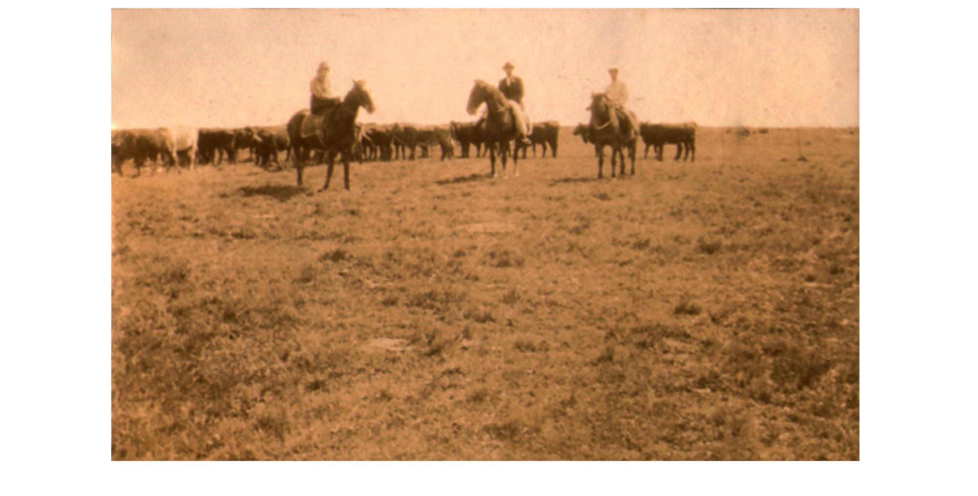 Dans la PAMPA fin XIXe début XXe Siècle.