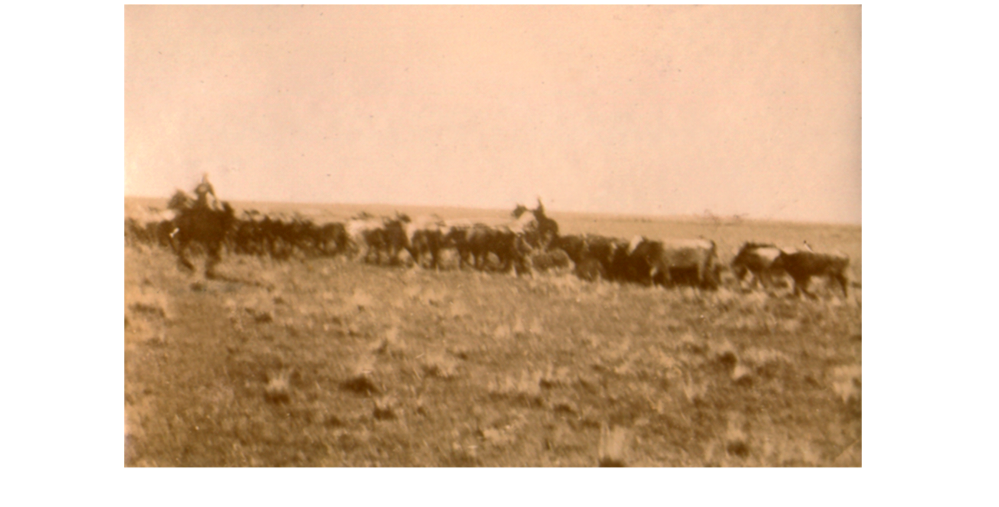 Dans la PAMPA fin XIXe début XXe Siècle.