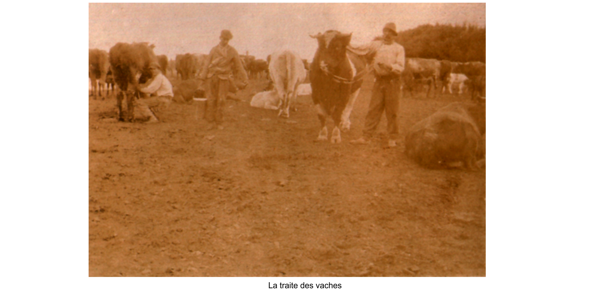 Proche de l'Estancia début XXe Siècle.