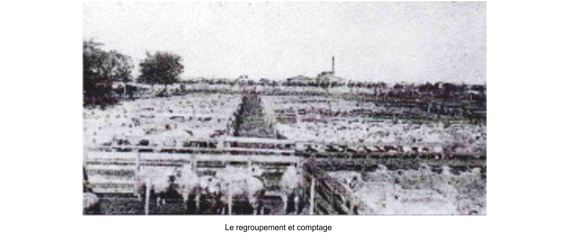 La coopérative fondée par la famille RIAT.