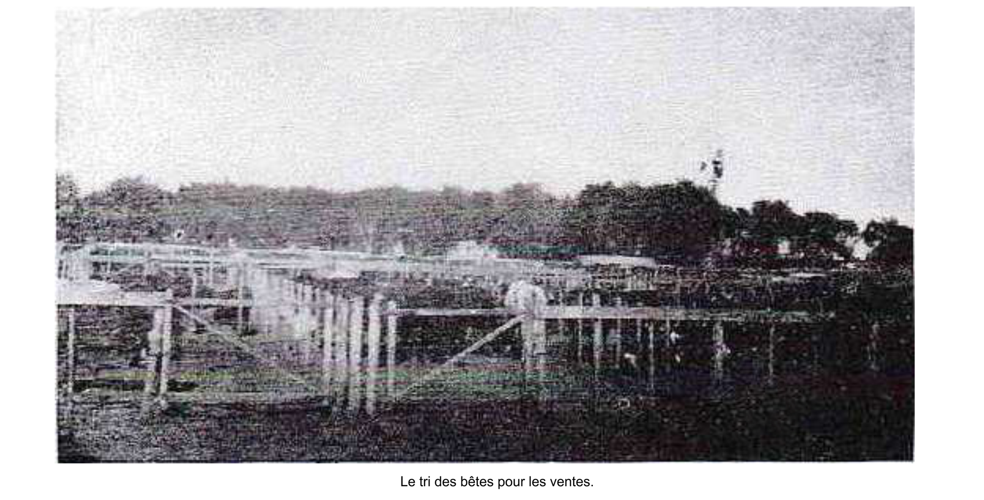 La coopérative fondée par la famille RIAT.