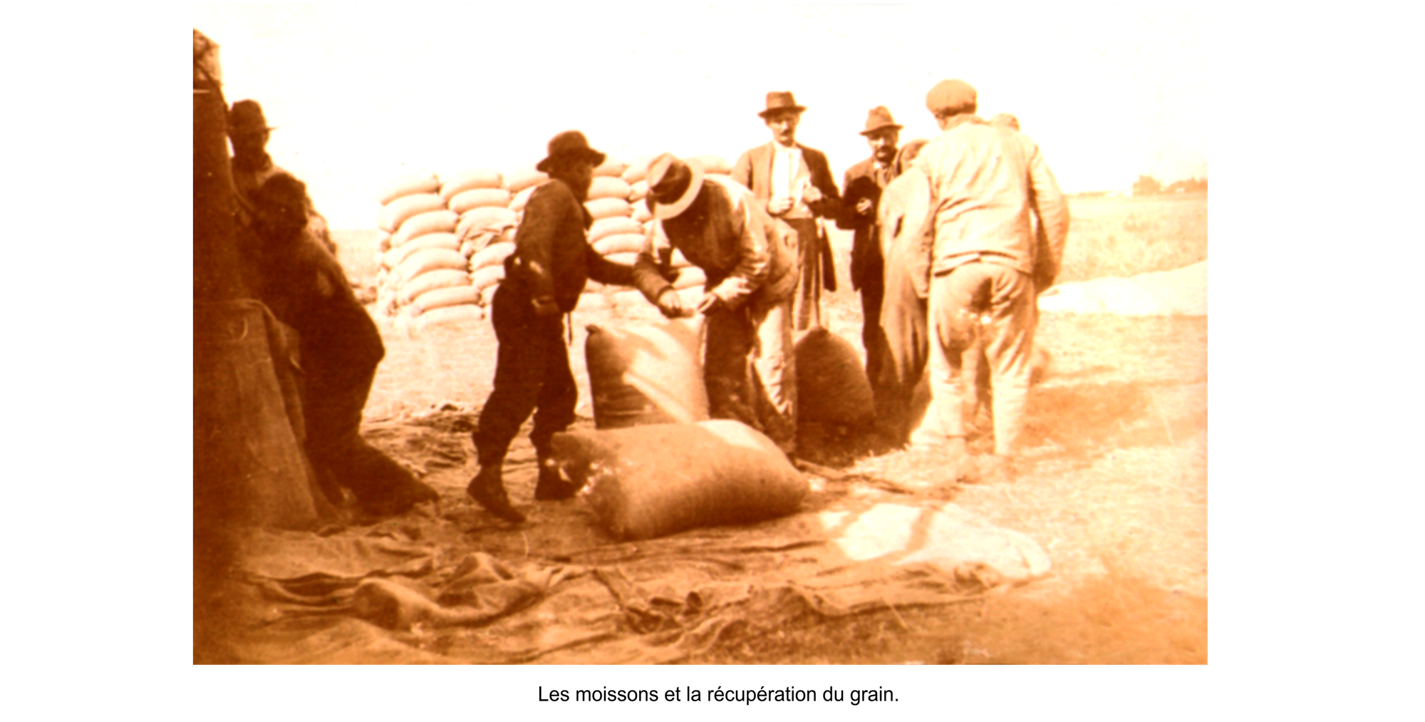 La vie agricole dans la PAMPA. (Photos de famille tirées des archives d'Arthur PIQUEREZ et de son fils Aldo).