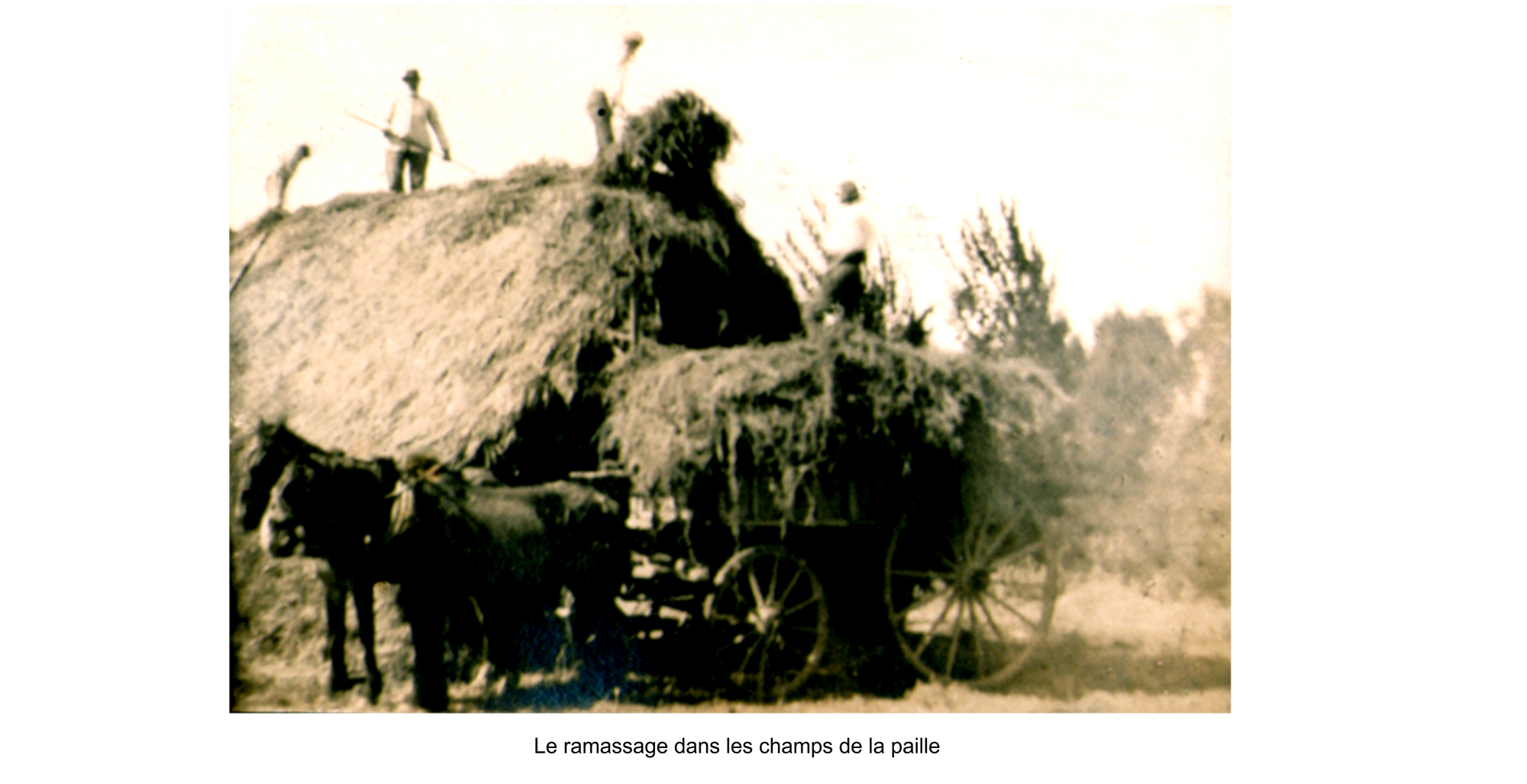 La vie agricole dans la PAMPA. Les débuts de la mécanisation.
