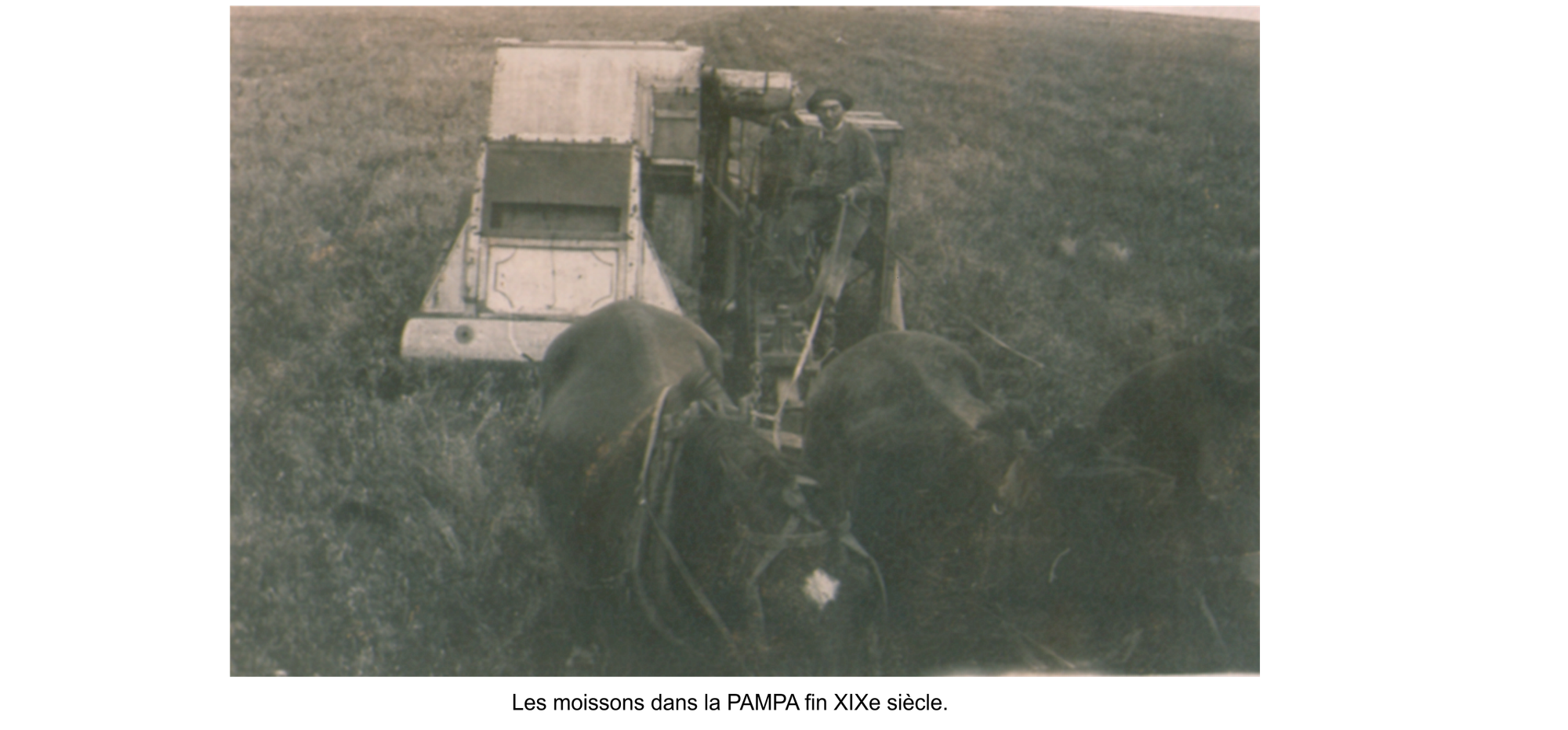 La vie agricole dans la PAMPA. Les moissons diverses.