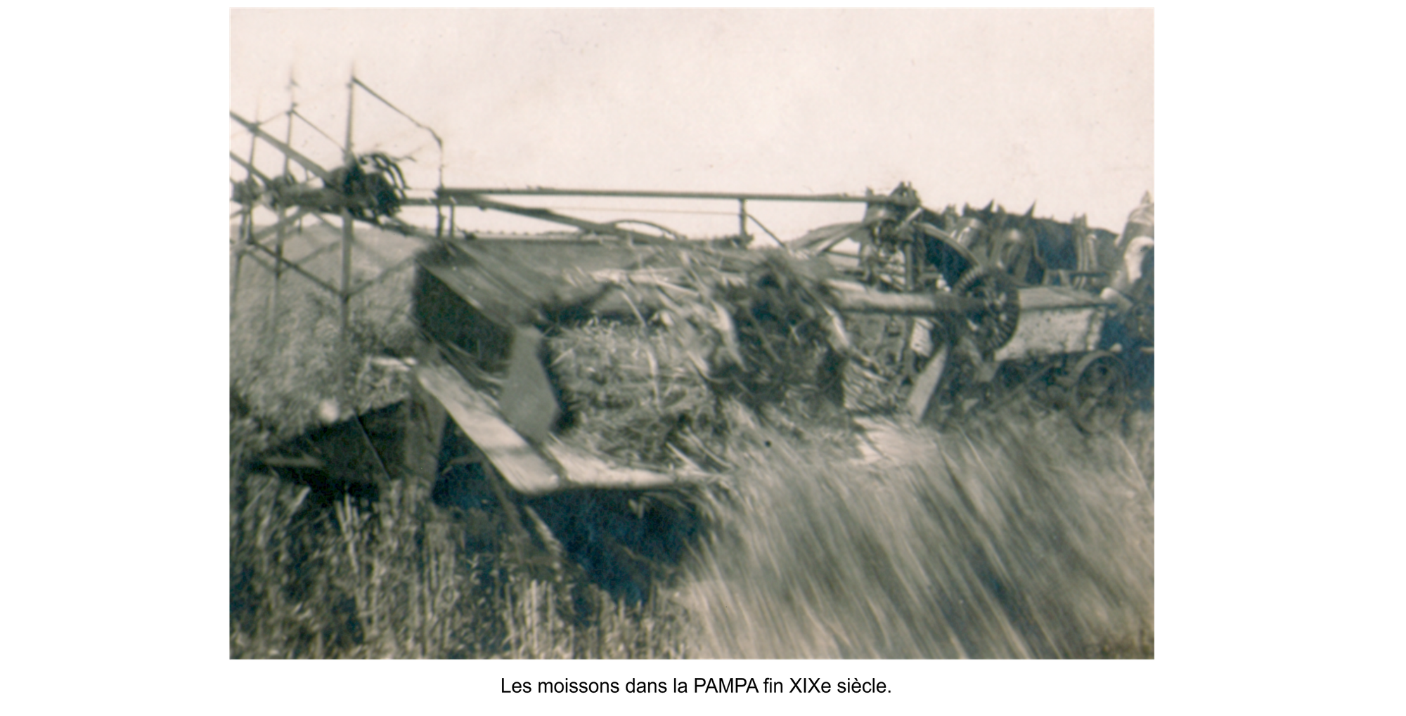 La vie agricole dans la PAMPA. Les moissons diverses.