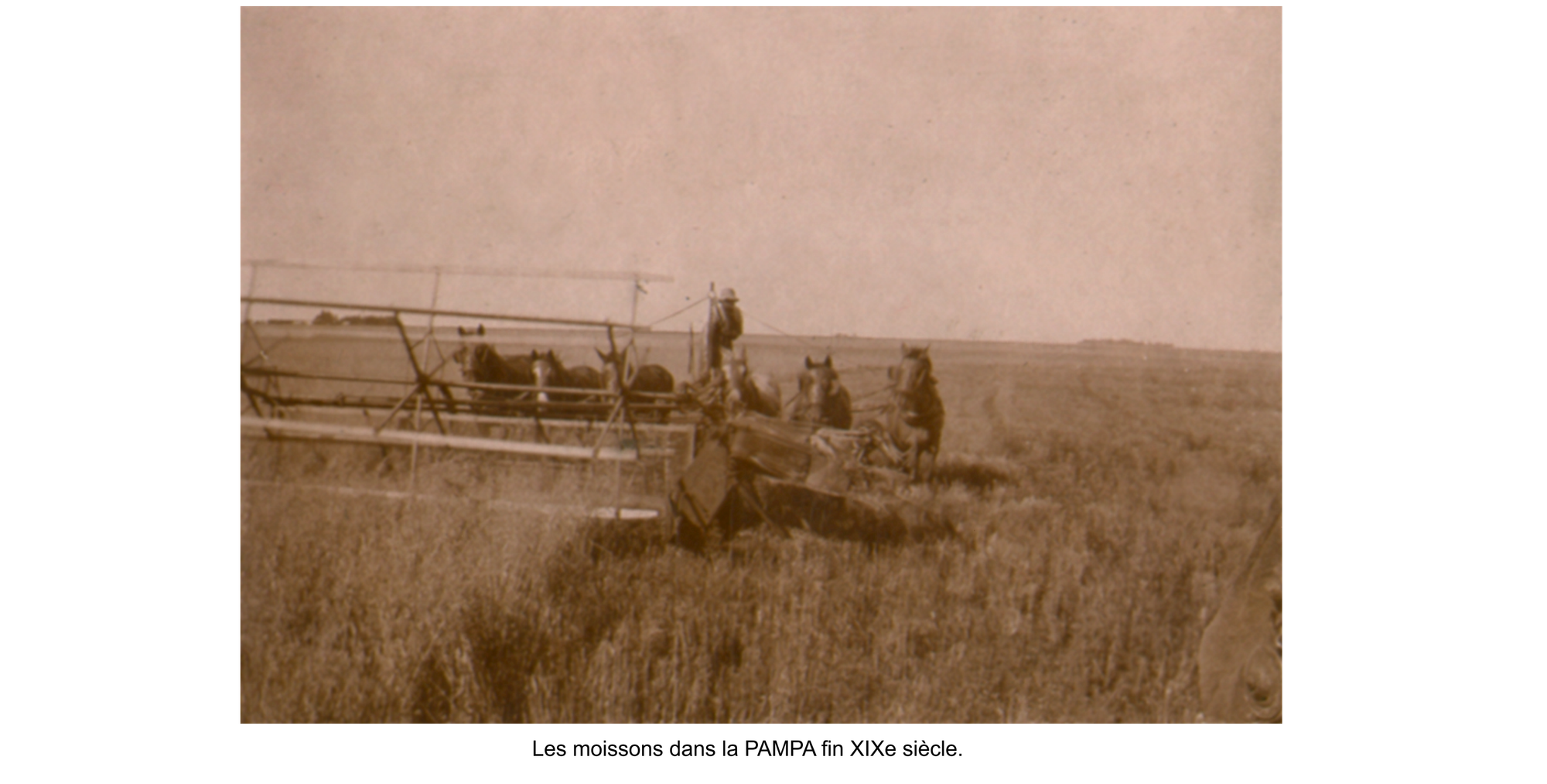La vie agricole dans la PAMPA. Les moissons diverses.