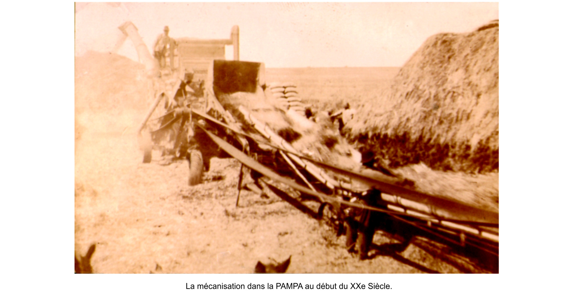 La vie agricole dans la PAMPA. Les moissons diverses.