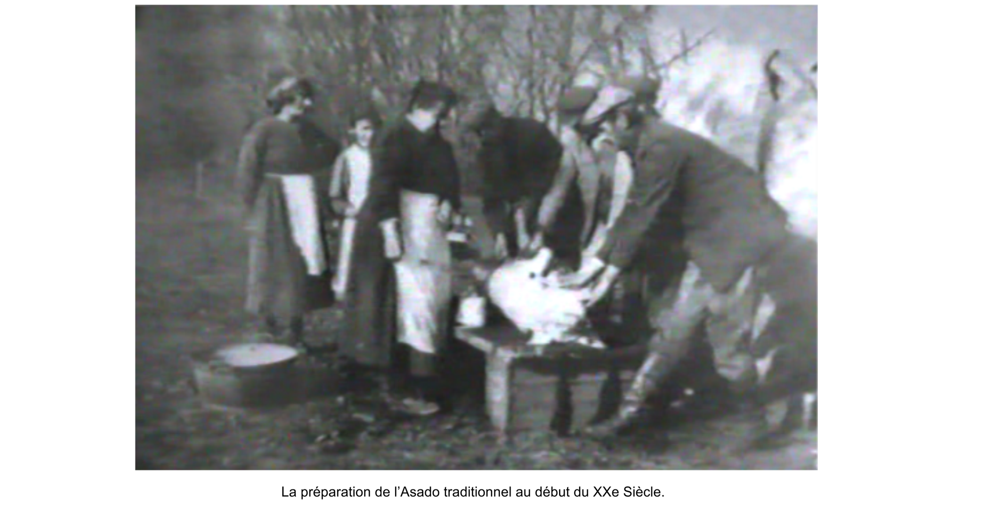 La vie agricole dans la PAMPA. Les moissons diverses.