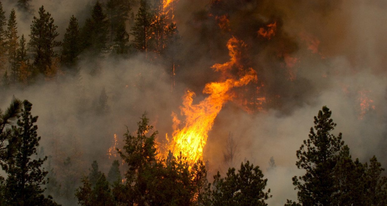 AGGIORNAMENTO CATASTO INCENDI BOSCHIVI - COMUNE DI SAVA (TA)