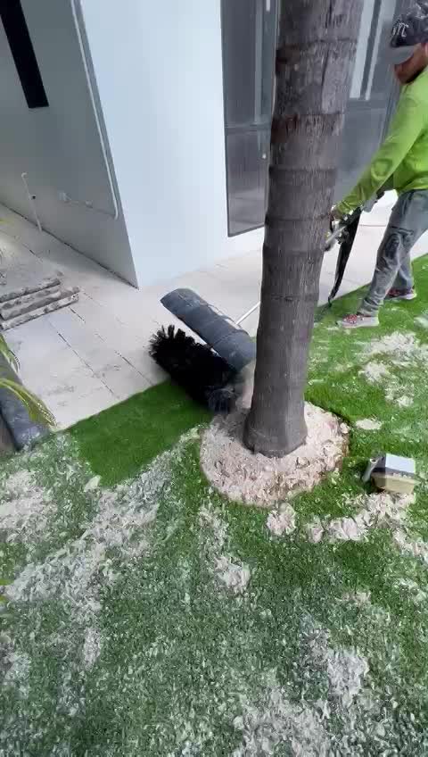 Project Coronado Lane