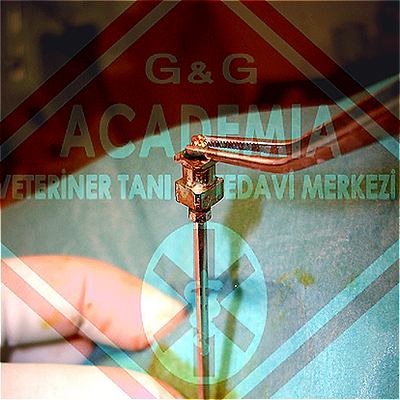 KULLANIM ALANLARI image