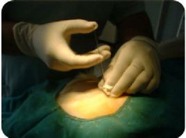 KULLANIM ALANLARI image