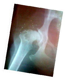 KULLANIM ALANLARI image