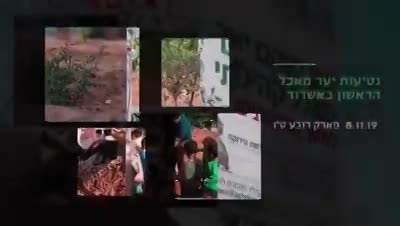 אירוע שתילת עצים ביער המאכל הראשון באשדוד