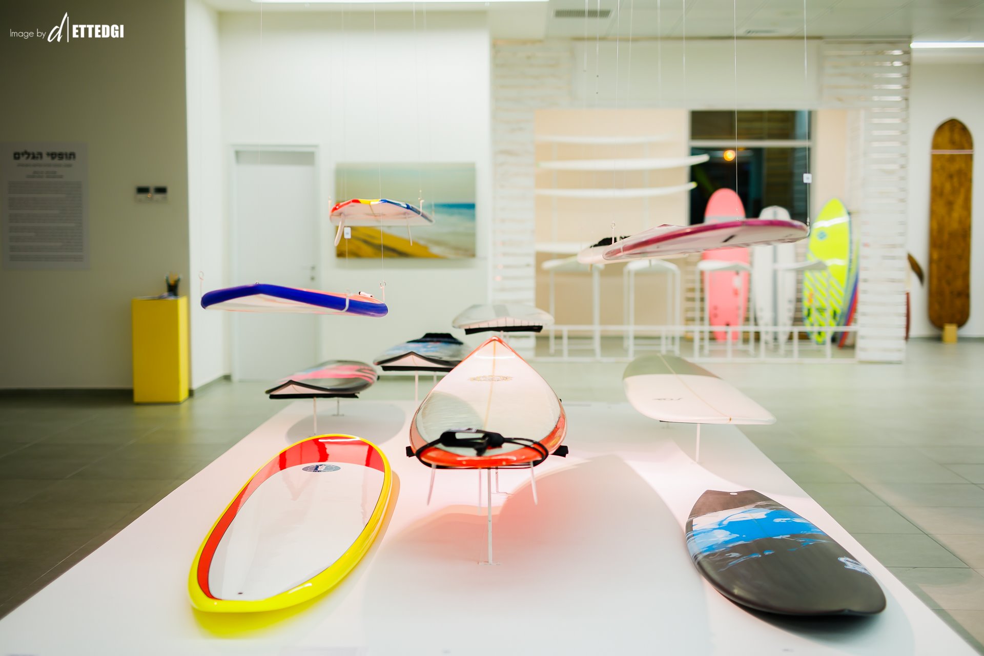 פסטיבל גולשים אשדוד 2019