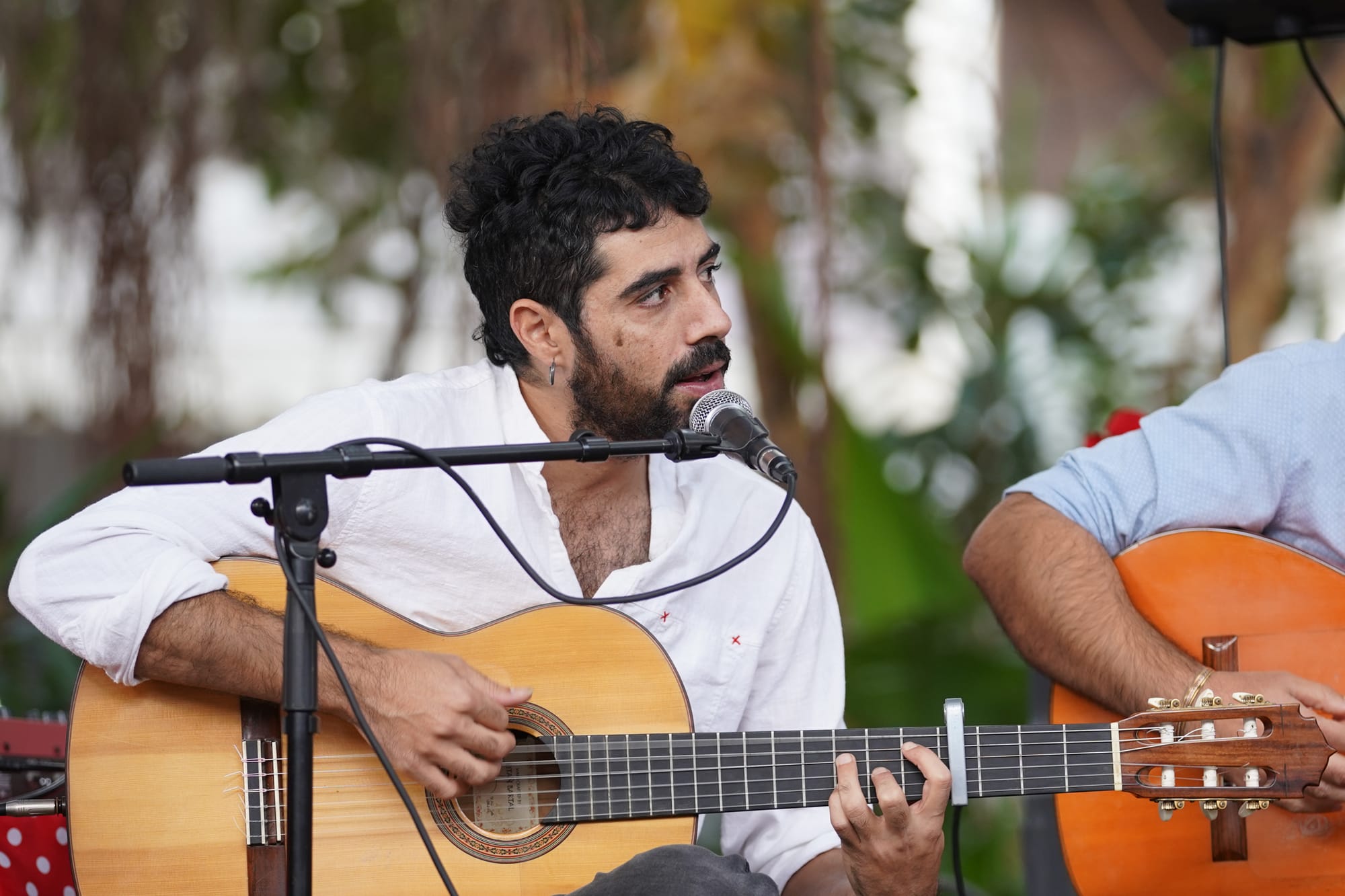 חגיגת פלמנקו סוחפת