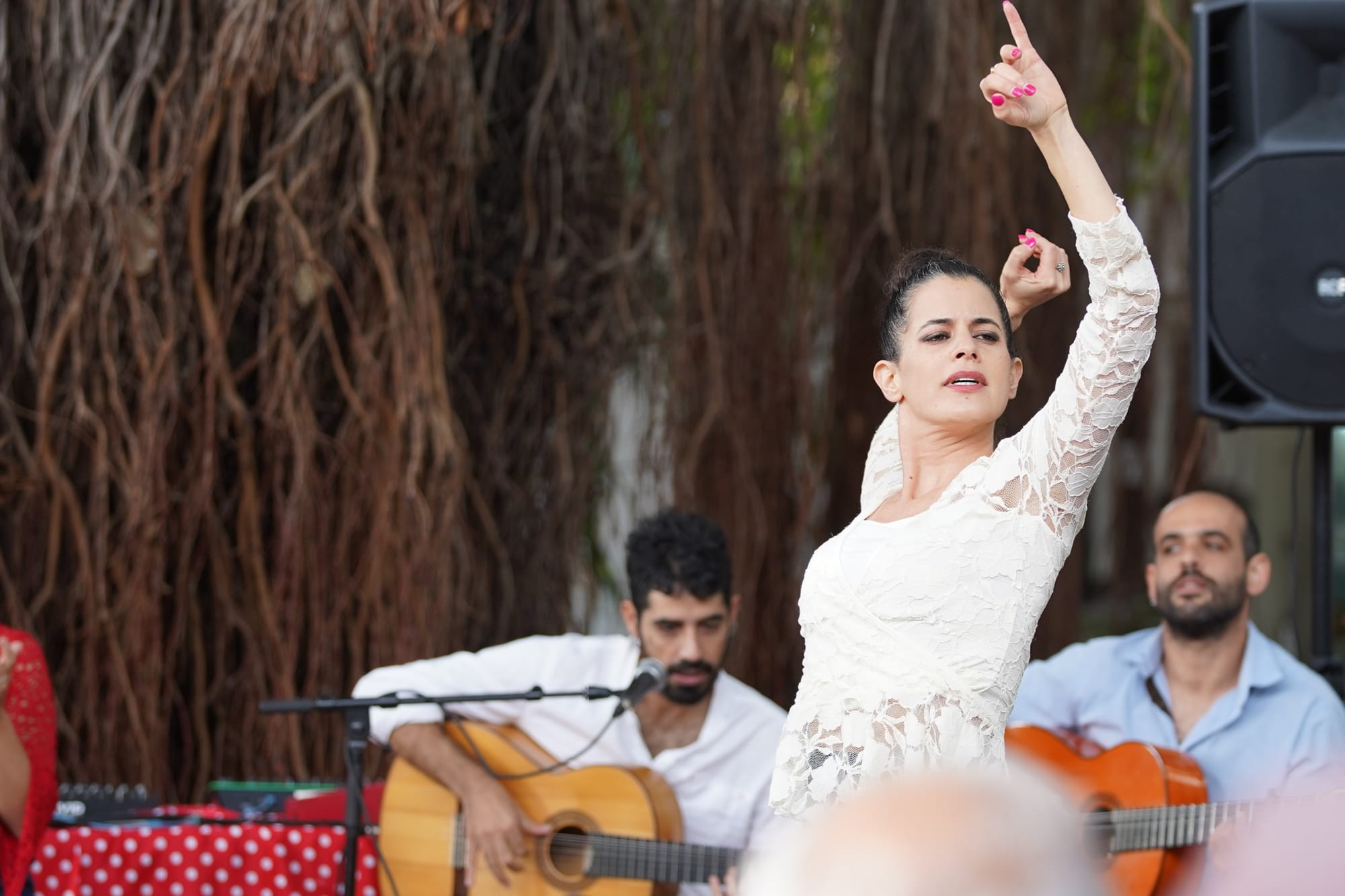 חגיגת פלמנקו סוחפת