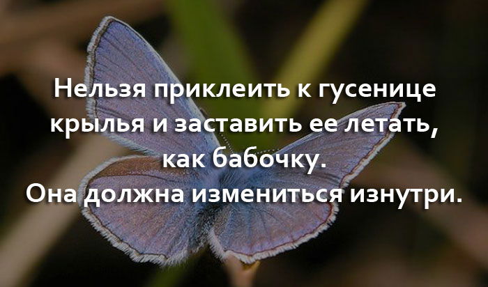 "Вы всё в интернете работаете? И чего делаете в реале?"