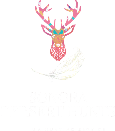 Sonora Desert Hunts