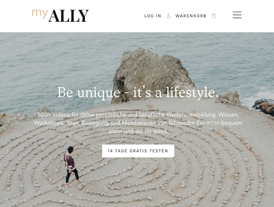 Interviewtechnik bei my.ally.vision