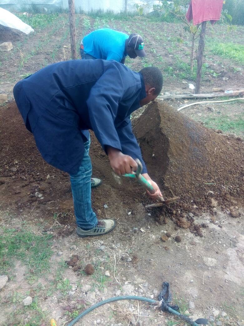 AGRONOMY.