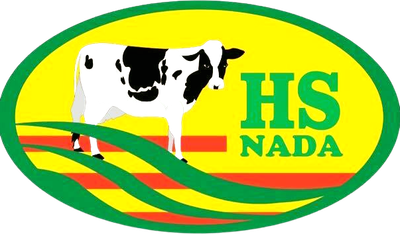 HS NADA
