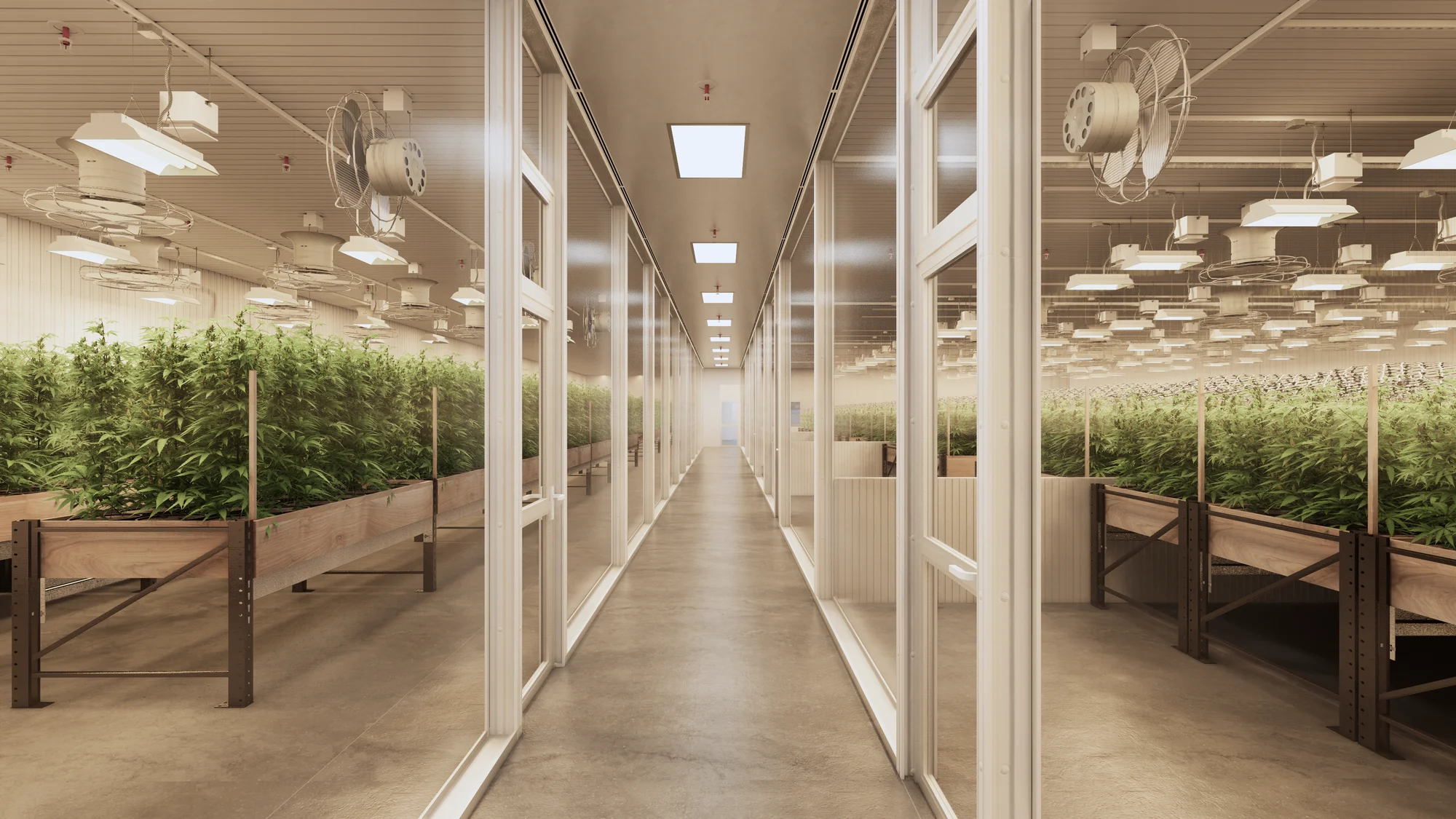 CANNABIS GROW FACILITY
