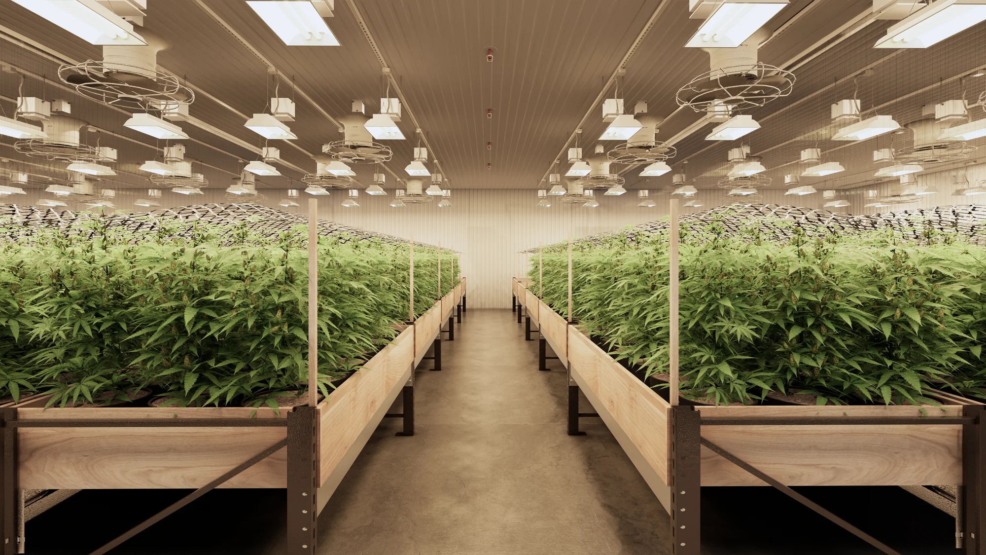 CANNABIS GROW FACILITY