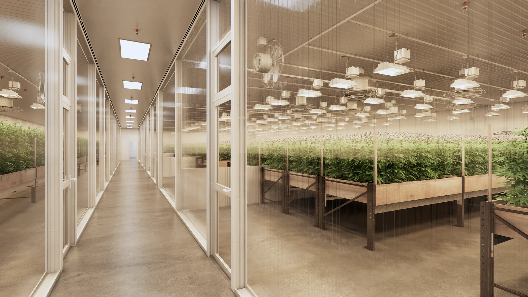 CANNABIS GROW FACILITY