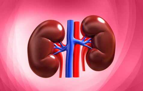 Kidney Test