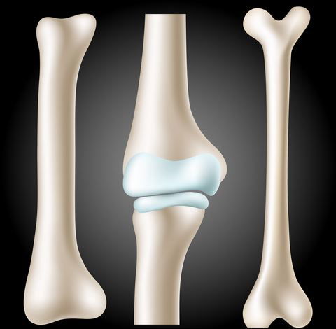 Calcium, Phosphate & Magnesium