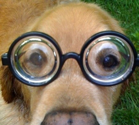 Látás helyreállítás Access testkezelés tanfolyam