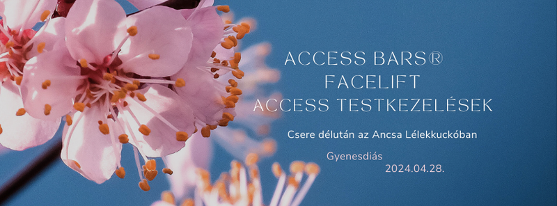 Access Bars®️ csere délután