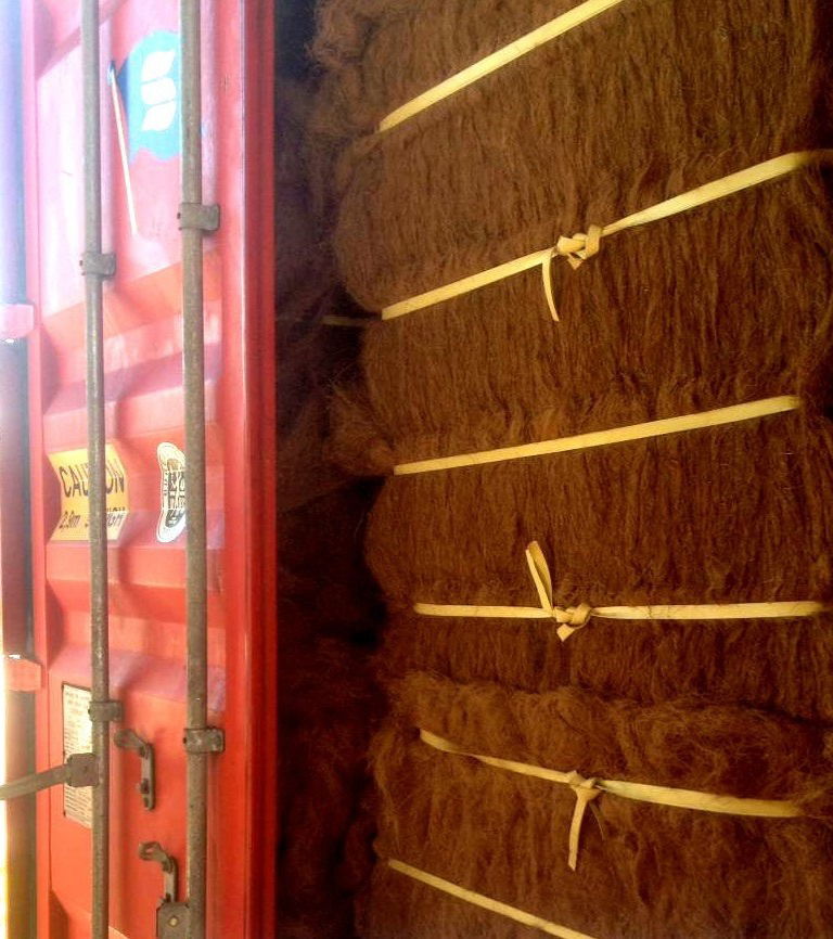COCONUT FIBER (COIR)