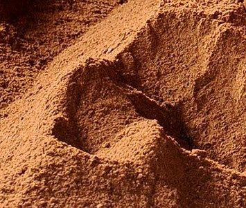 PALM KERNEL MEAL